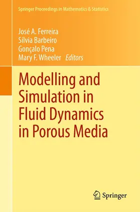 Ferreira / Barbeiro / Pena |  Modelling and Simulation in Fluid Dynamics in Porous Media | eBook | Sack Fachmedien