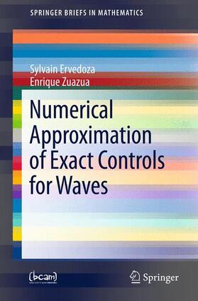 Zuazua / Ervedoza |  Numerical Approximation of Exact Controls for Waves | Buch |  Sack Fachmedien