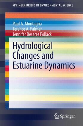 Montagna / Beseres Pollack / Palmer |  Hydrological Changes and Estuarine Dynamics | Buch |  Sack Fachmedien