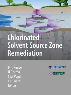 Kueper / Ward / Stroo |  Chlorinated Solvent Source Zone Remediation | Buch |  Sack Fachmedien