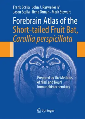 Scalia / Rasweiler IV / Orman |  Forebrain Atlas of the Short-Tailed Fruit Bat, Carollia Perspicillata | Buch |  Sack Fachmedien