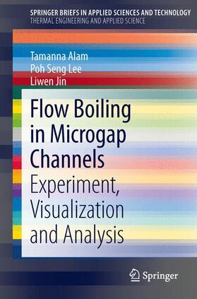 Alam / Jin / Lee |  Flow Boiling in Microgap Channels | Buch |  Sack Fachmedien