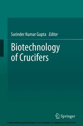 Gupta |  Biotechnology of Crucifers | eBook | Sack Fachmedien