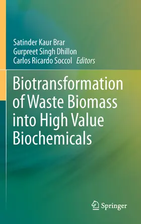 Brar / Dhillon / Soccol |  Biotransformation of Waste Biomass into High Value Biochemicals | eBook | Sack Fachmedien