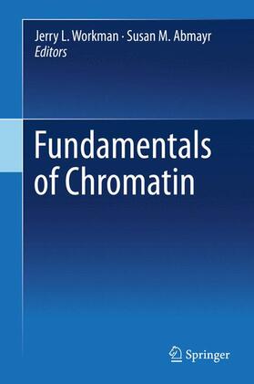Abmayr / Workman |  Fundamentals of Chromatin | Buch |  Sack Fachmedien