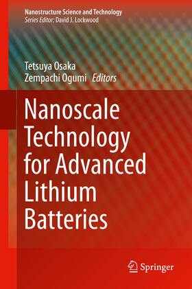 Osaka / Ogumi |  Nanoscale Technology for Advanced Lithium Batteries | eBook | Sack Fachmedien
