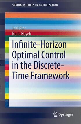 Hayek / Blot |  Infinite-Horizon Optimal Control in the Discrete-Time Framework | Buch |  Sack Fachmedien
