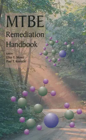 Moyer / Kostecki |  MTBE Remediation Handbook | eBook | Sack Fachmedien