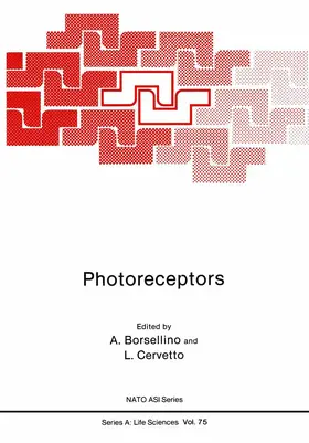 Borsellino |  Photoreceptors | Buch |  Sack Fachmedien