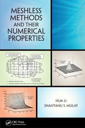 Li / Mulay |  Meshless Methods and Their Numerical Properties | Buch |  Sack Fachmedien