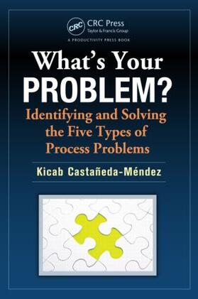 Castaneda-Mendez |  What's Your Problem? | Buch |  Sack Fachmedien