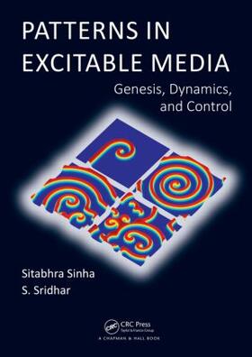 Sinha / Sridhar |  Patterns in Excitable Media | Buch |  Sack Fachmedien