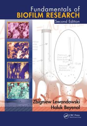 Lewandowski / Beyenal |  Fundamentals of Biofilm Research | Buch |  Sack Fachmedien