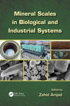 Amjad |  Mineral Scales in Biological and Industrial Systems | Buch |  Sack Fachmedien