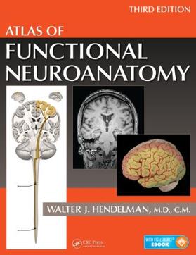 Hendelman M.D. |  Atlas of Functional Neuroanatomy | Buch |  Sack Fachmedien