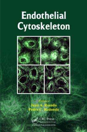 Rosado / Redondo |  Endothelial Cytoskeleton | Buch |  Sack Fachmedien