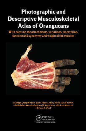 Diogo / Potau / Pastor |  Photographic and Descriptive Musculoskeletal Atlas of Orangutans | Buch |  Sack Fachmedien
