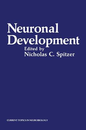 Spitzer |  Neuronal Development | Buch |  Sack Fachmedien