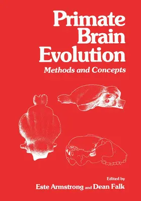 Falk / Armstrong |  Primate Brain Evolution | Buch |  Sack Fachmedien