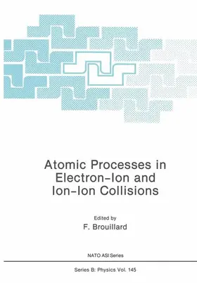 Brouillard |  Atomic Processes in Electron-Ion and Ion-Ion Collisions | Buch |  Sack Fachmedien