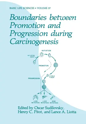 Sudilovsky / Liotta / Pitot |  Boundaries between Promotion and Progression during Carcinogenesis | Buch |  Sack Fachmedien