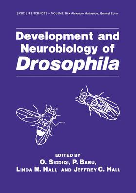 Siddiqi / Hall / Babu |  Development and Neurobiology of Drosophila | Buch |  Sack Fachmedien