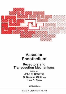 Catravas |  Vascular Endothelium | Buch |  Sack Fachmedien