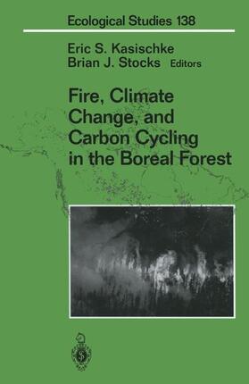 Stocks / Kasischke |  Fire, Climate Change, and Carbon Cycling in the Boreal Forest | Buch |  Sack Fachmedien