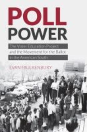 Faulkenbury |  Poll Power | Buch |  Sack Fachmedien