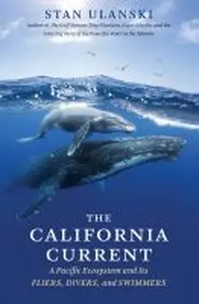 Ulanski |  The California Current | Buch |  Sack Fachmedien