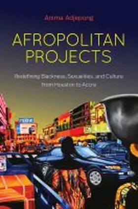 Afropolitan Projects | Buch | 978-1-4696-6518-4 | sack.de