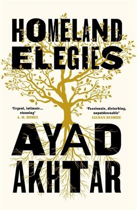 Akhtar |  Homeland Elegies | Buch |  Sack Fachmedien