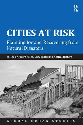 Filion / Sands |  Cities at Risk | Buch |  Sack Fachmedien