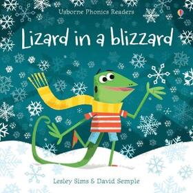 Sims |  Lizard in a Blizzard | Buch |  Sack Fachmedien