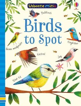 Robson / Smith |  Birds to Spot | Buch |  Sack Fachmedien