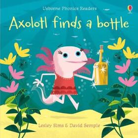 Sims |  Axolotl finds a bottle | Buch |  Sack Fachmedien