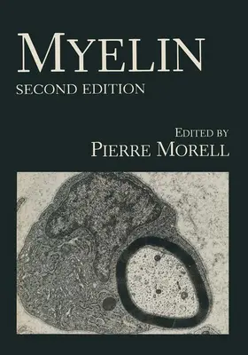 Morell |  Myelin | Buch |  Sack Fachmedien