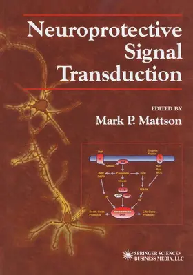 Mattson |  Neuroprotective Signal Transduction | Buch |  Sack Fachmedien