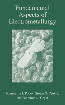 Popov / Djokic / Grgur |  Fundamental Aspects of Electrometallurgy | Buch |  Sack Fachmedien