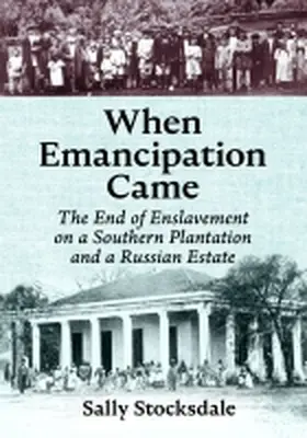 Stocksdale |  When Emancipation Came | Buch |  Sack Fachmedien