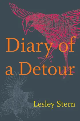 Stern |  Diary of a Detour | eBook | Sack Fachmedien