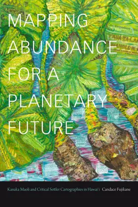 Fujikane |  Mapping Abundance for a Planetary Future | eBook | Sack Fachmedien