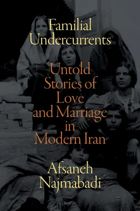 Najmabadi |  Familial Undercurrents | eBook | Sack Fachmedien