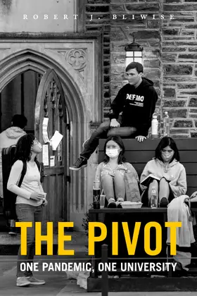 Bliwise |  The Pivot | eBook | Sack Fachmedien