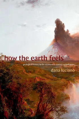 Luciano |  How the Earth Feels | eBook | Sack Fachmedien