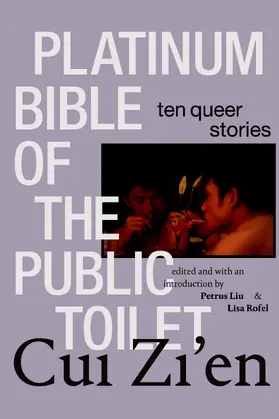 Cui / Liu / Rofel |  Platinum Bible of the Public Toilet | eBook | Sack Fachmedien