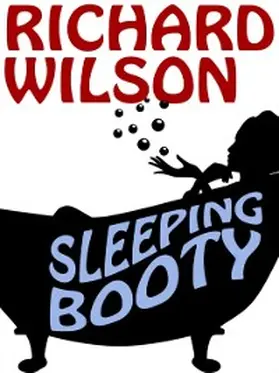 Wilson |  Sleeping Booty | eBook | Sack Fachmedien