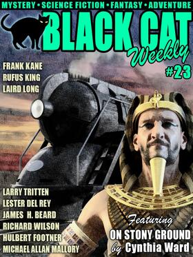 Ward / Mallory / Long |  Black Cat Weekly #23 | eBook | Sack Fachmedien