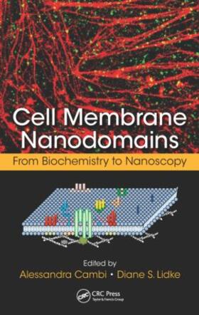 Cambi / Lidke |  Cell Membrane Nanodomains | Buch |  Sack Fachmedien