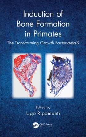 Ripamonti |  Induction of Bone Formation in Primates | Buch |  Sack Fachmedien